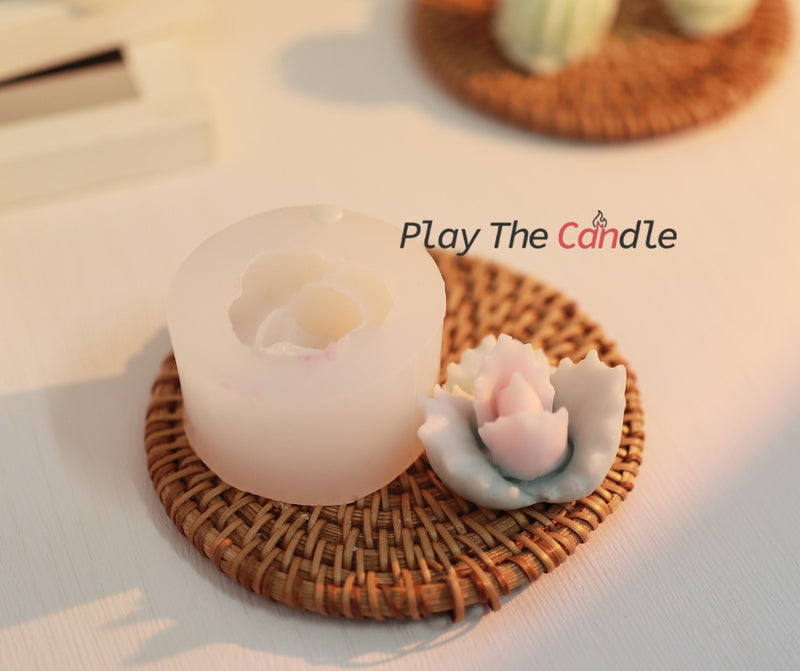 Wholesale Silicone Cactus Candle Molds in Singapore - playthecandle