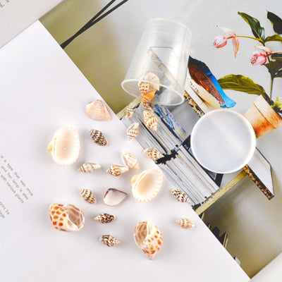 Enhance Your Crafts with Assorted Natural Seashells - Perfect for Candle Making and Decorative Projects - playthecandle