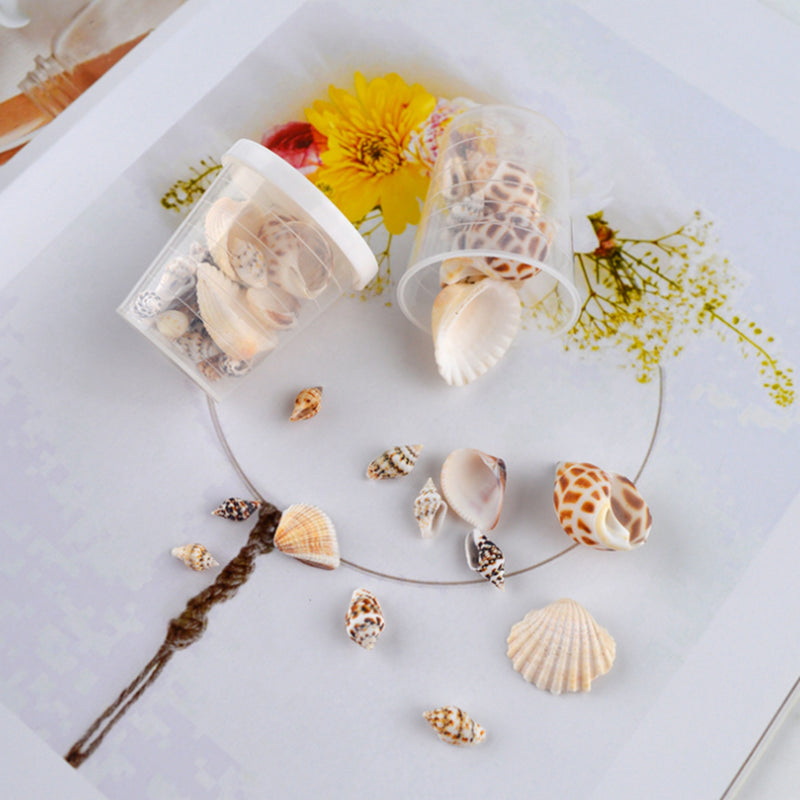 Enhance Your Crafts with Assorted Natural Seashells - Perfect for Candle Making and Decorative Projects - playthecandle
